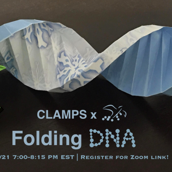 CLAMPS x UTFOLD: Folding DNA (ー_ー)ゞ