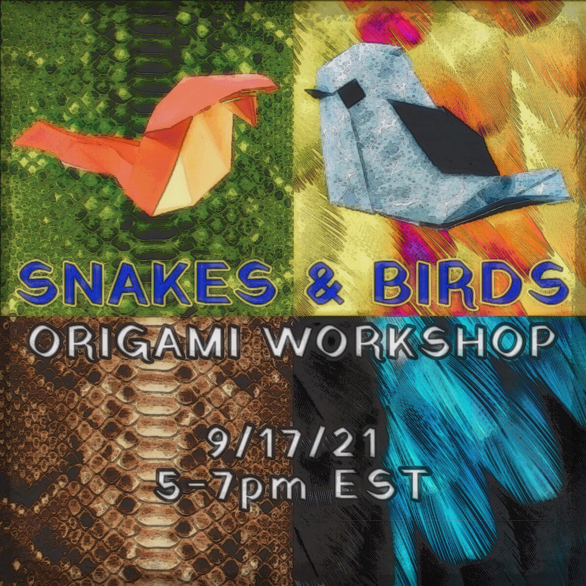 Snakes & Birds Workshop!!!🐍🐦